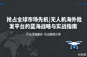 无人机海外批发蓝海战略|抢占全球市场先机