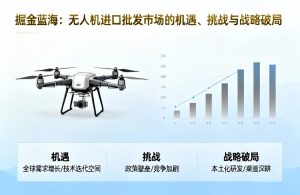 无人机进口批发市场|机遇、挑战与战略解析