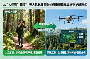 从“人巡”到“天眼”|无人机林业监测如何重塑现代森林守护新范式